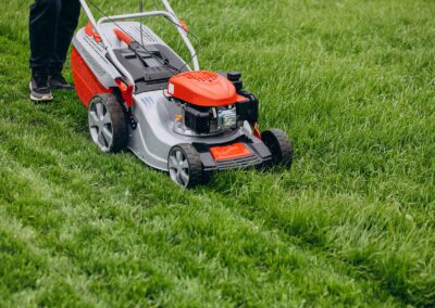 DM Pflasterbau work image